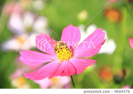 Working bee Working bee 9684376