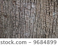 Bark 9684899