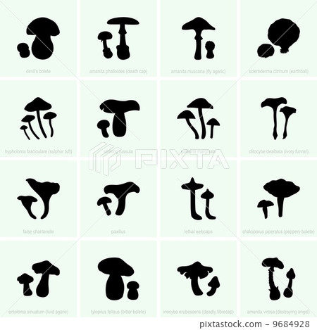 Inedible and poisonous mushrooms Inedible and poisonous mushrooms 9684928