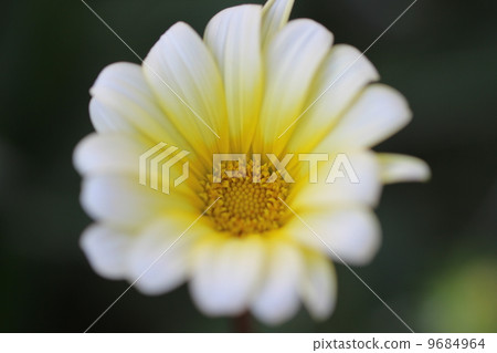 Margaret Margaret 9684964