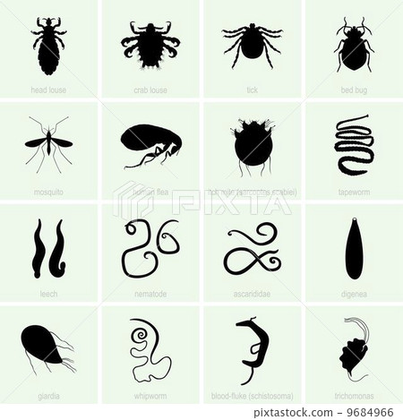 Human parasites Human parasites 9684966