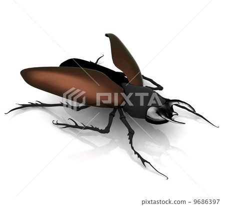 stag beetle 9686397