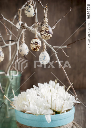 Quail Eggs on a Brunch 9686726