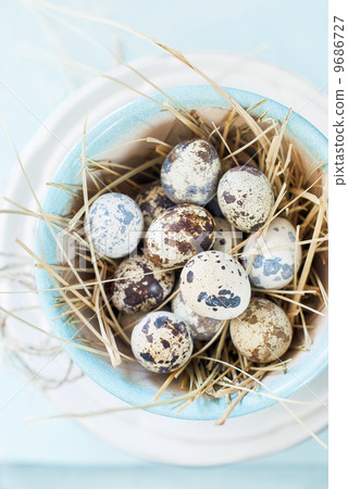 Quail Eggs in the Pot Quail Eggs in the Pot 9686727