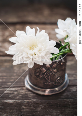 White Flowers Chrysanthemum in the metal bowl White Flowers Chrysanthemum in the metal bowl 9686733