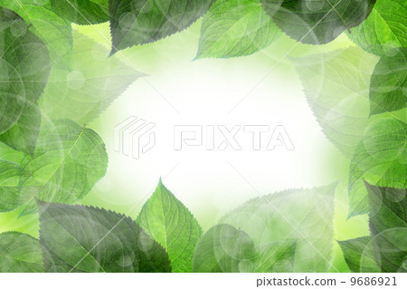 Leaf image frame Leaf image frame 9686921