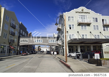 金絲雀行 9687516