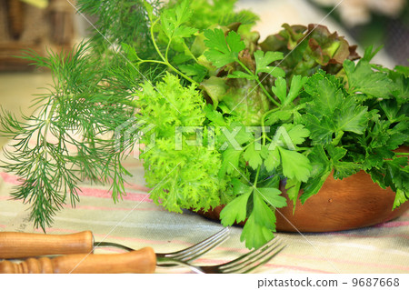 Kitchen Herb Kitchen Herb 9687668