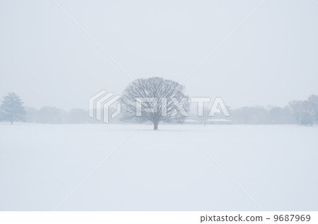 本木 積雪 下雪 9687969