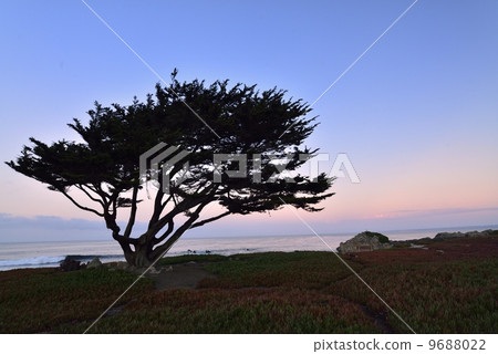 蒙特雷 蒙特雷 9688022