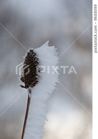 Foggy ice  Foggy ice 9688099
