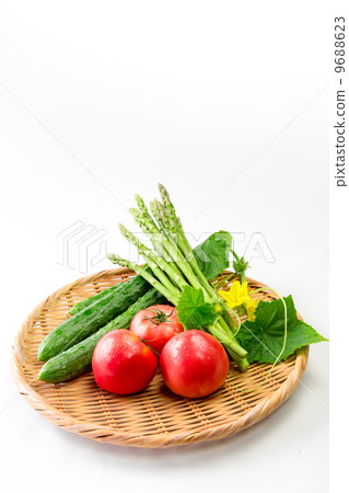 vegetable set vegetable set 9688623