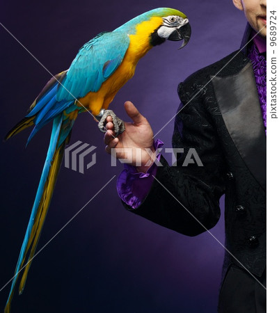 Young handsome brunette magician man in stage costume with his trained parrot 9689724