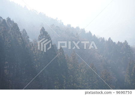 Morning of light 9690750