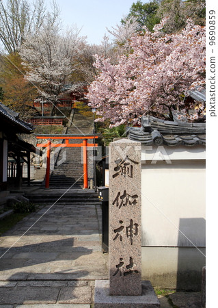 Yuza Shrine in Nara Spring 9690859