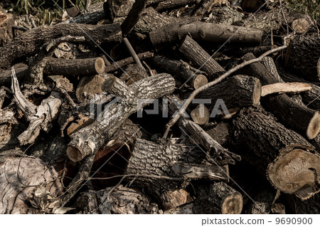 一個日誌 9690900