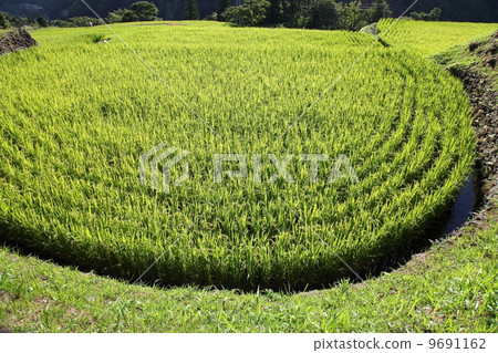 Yuto的Ishigakida Yuto的Ishigakida 9691162