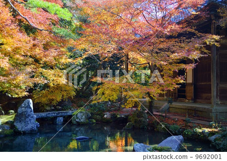 Lotus Temple Autumn leaves 9692001