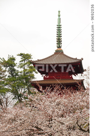 蓮花寺五層寶塔 9692036