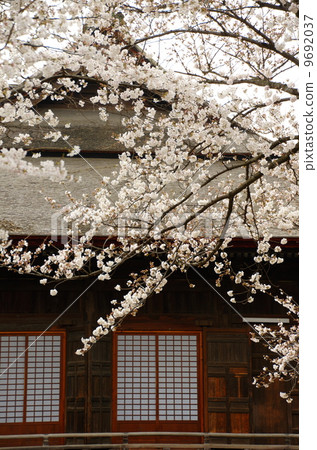 蓮花寺 蓮花寺 9692037