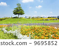 Flower garden of Showa Memorial Park 9695852