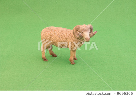 公綿羊 9696366