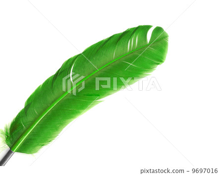 green feather in soft-focus view. Close-Up. With green feather in soft-focus view. Close-Up. With 9697016
