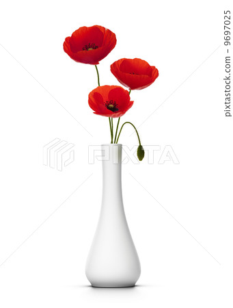delicate poppies over white 9697025