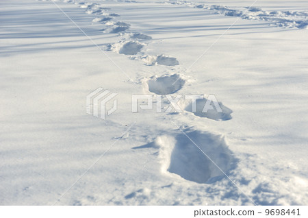 tracks on the snow 9698441