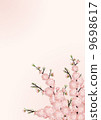 桃花背景01_垂直 桃花背景01_垂直 9698617