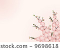 桃子開花背景01_風景 桃子開花背景01_風景 9698618