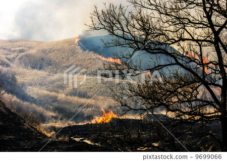 Field burning of Aso 9699066