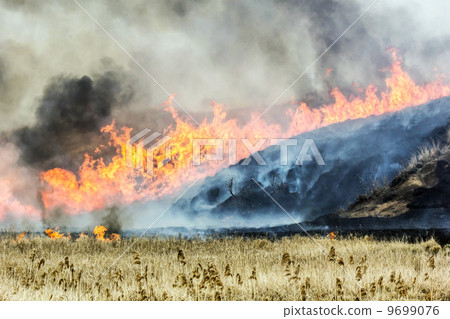 阿甦的田野燃燒 阿甦的田野燃燒 9699076