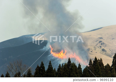 阿甦的田野燃燒 9699110