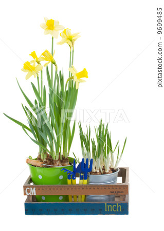 Gardening tools with flower pots Gardening tools with flower pots 9699485