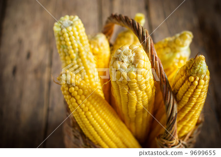 Corn in Basket, selective focus 9699655