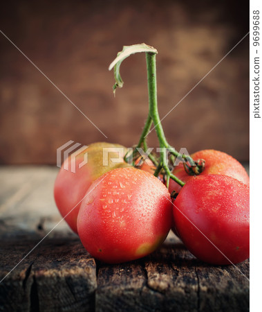 Branch of Tomatoes with drops 9699688