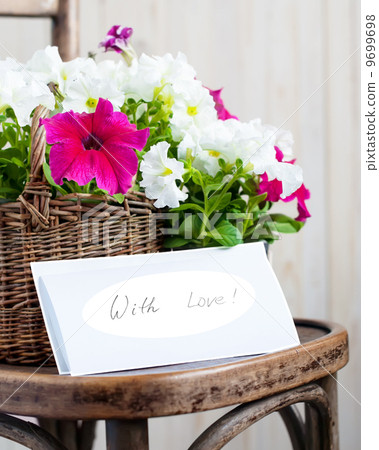White and Pink Petunia flowers in a basket with massage White and Pink Petunia flowers in a basket with massage 9699698