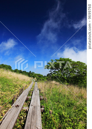Kirigamine Highland Hachiagahara Marsh 9699768