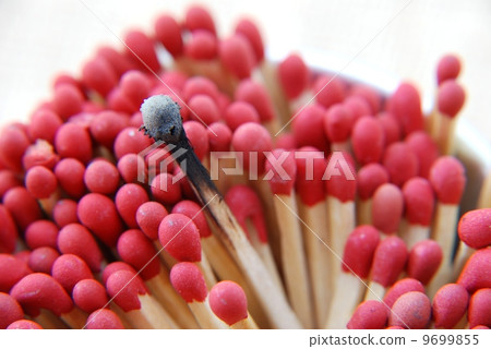 Matches 9699855
