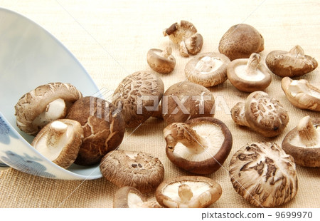 Shiitake mushroom, Authentic Chinese mushroom for health 9699970