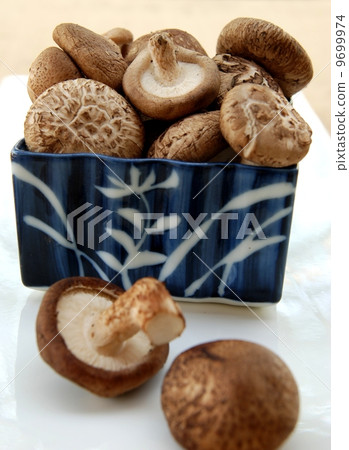 Shiitake mushroom, Authentic Chinese mushroom for health 9699974