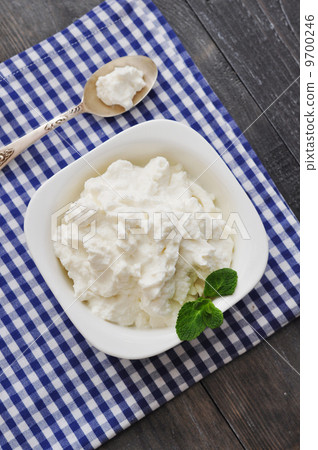 Ricotta cheese 9700246