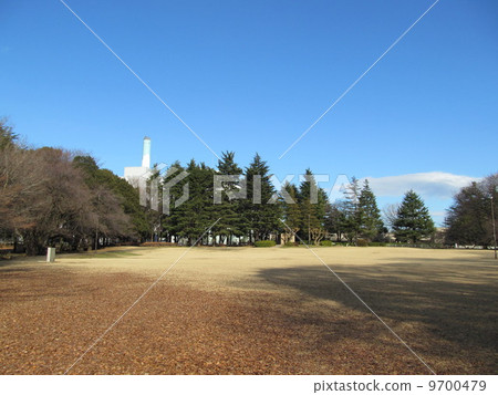 Kinutako winter lawn 9700479