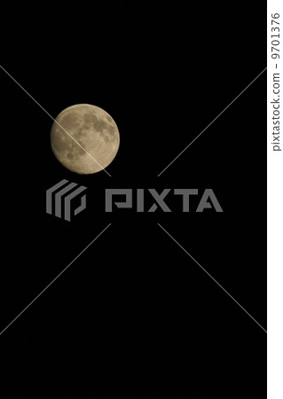 moon moon 9701376