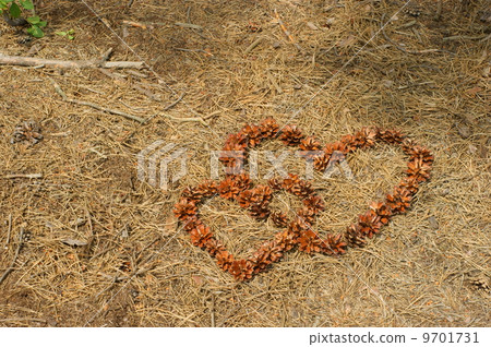 frame of pine cones - Heart. frame of pine cones - Heart. 9701731