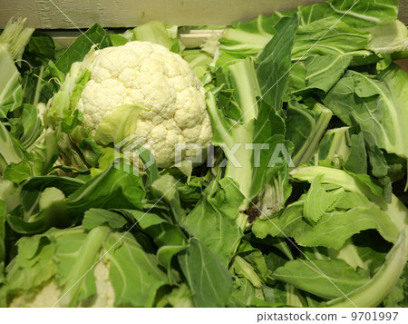 Fresh cauliflowers on the market stand Fresh cauliflowers on the market stand 9701997