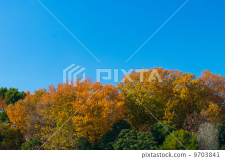 秋天的景色 9703841