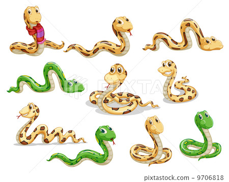 A group of voluptous snakes 9706818