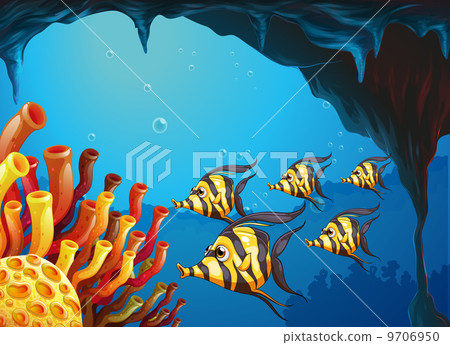 A group of striped-colored fishes near the coral reefs A group of striped-colored fishes near the coral reefs 9706950